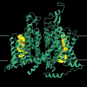 Molecular Animation Thumbnail