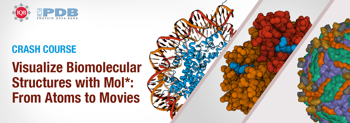 Visualize Biomolecular Header image for Crash Course - Structures with Mol*: From Atoms to Movies