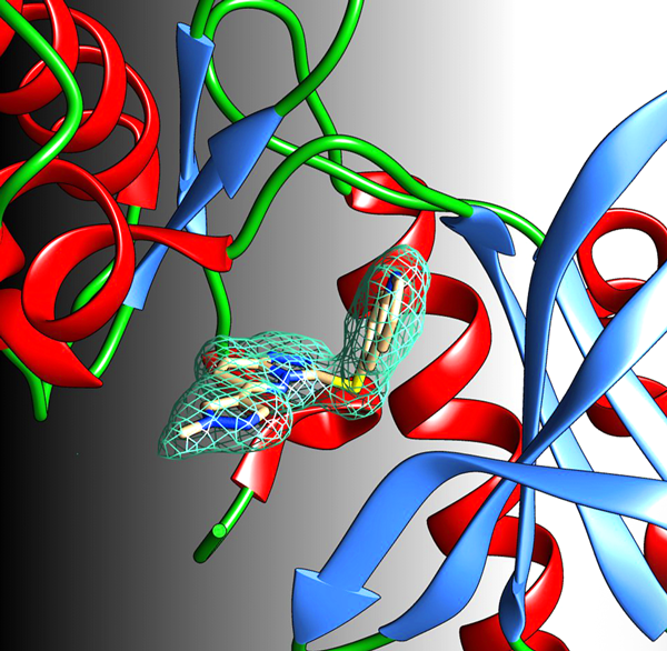 Biomedicines  Announcements